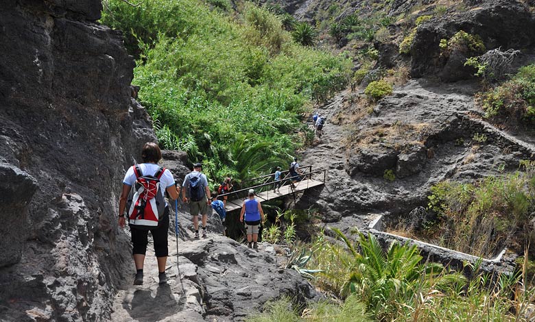 Masca vandring
